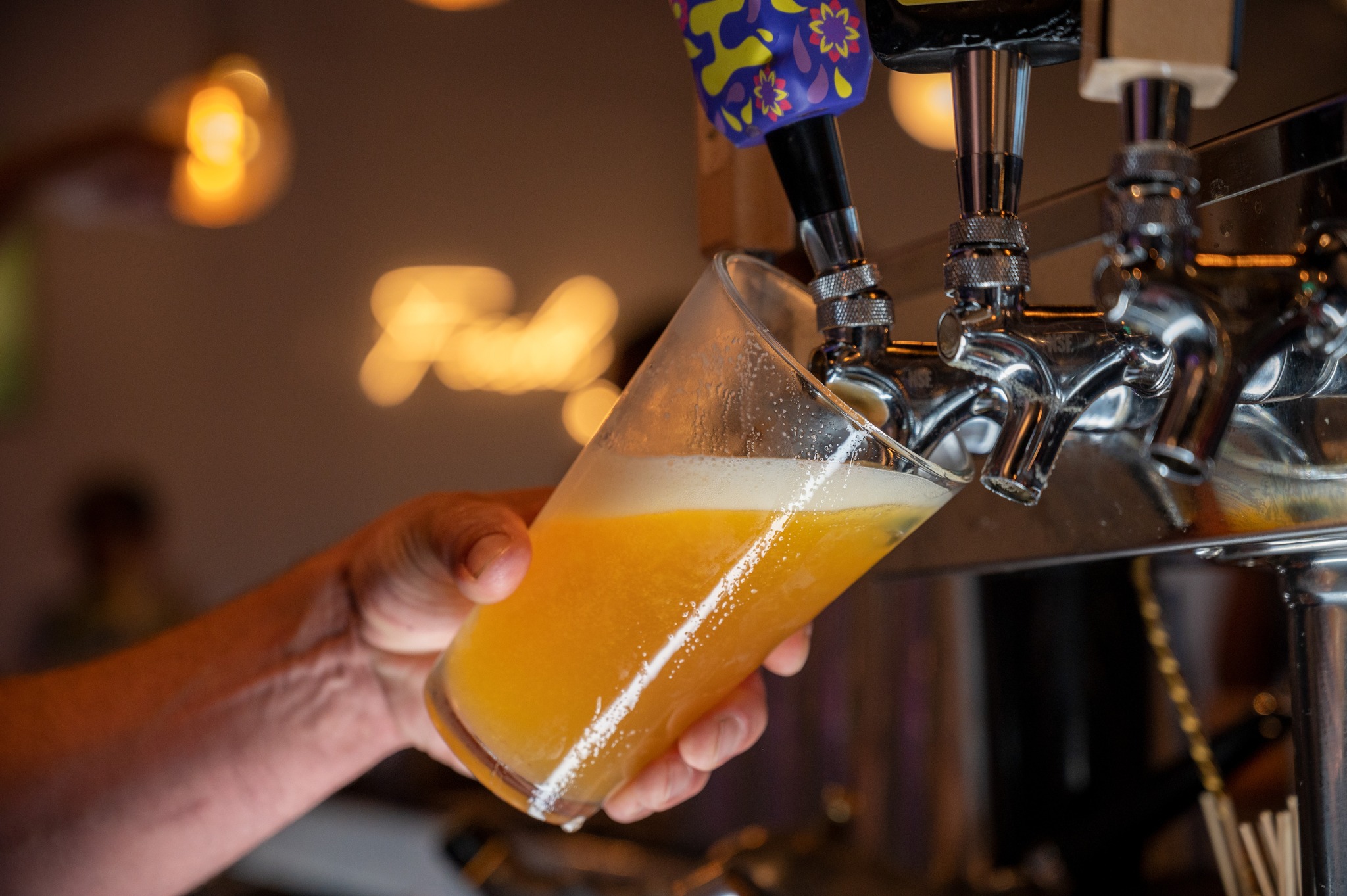 Beer Garden & Cooking Demonstrations